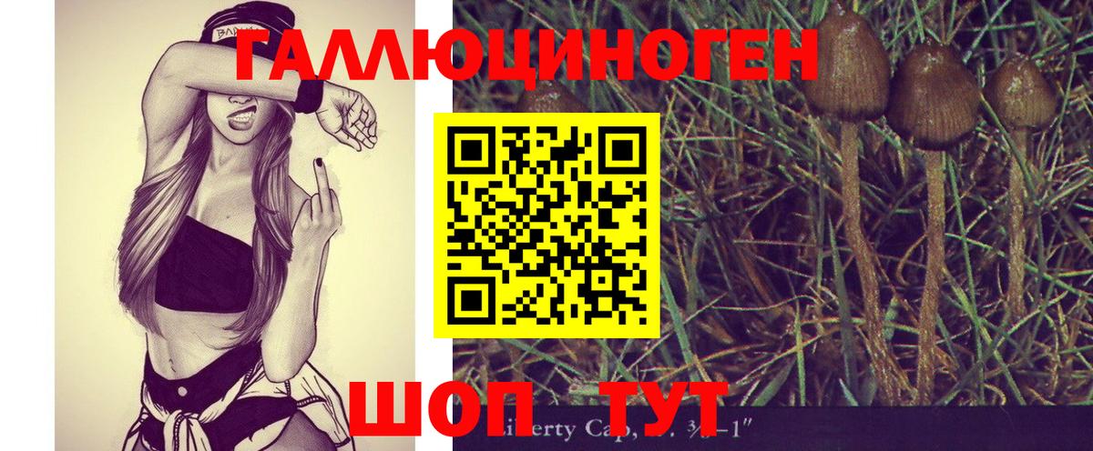Камышлов  Галлюциногенные грибы Magic Shrooms  Вход с VPN 